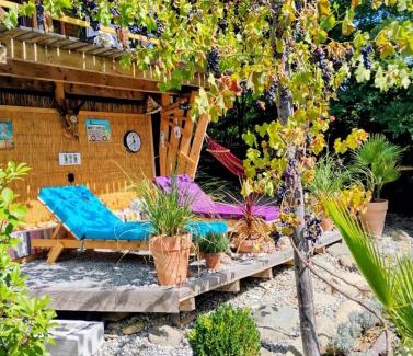 Avrig Cabine | 479 Tiny House, Domeniul von Agodt