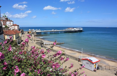Cromer Cottage | 48 Kings Chalet Park - un chalet de vacances pouvant accueillir 4 personnes dans 2 chambres