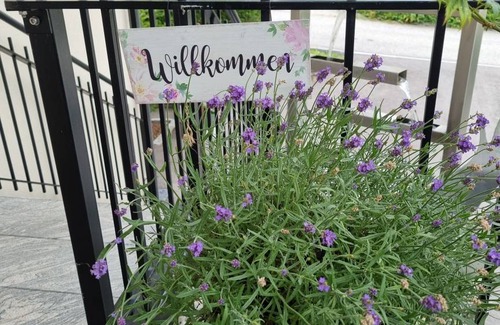 Velden am Worther See Appartement | 49 m² Appartement ∙ 1 chambre ∙ 4 personnes