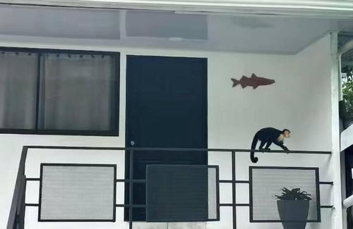 Manuel Antonio Appartement | 5 minutes away from Manuel Antonio National Park