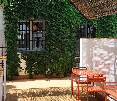 Carmona Maison | 5 Soles