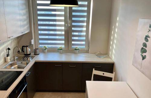 Lagiewniki Appartement | 50 m² Appartement ∙ 1 chambre ∙ 6 personnes