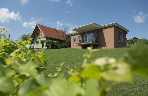 Gemeinde Hohenbrugg-Weinberg Appartement | 50 m² Appartement ∙ 1 chambre ∙ 5 personnes