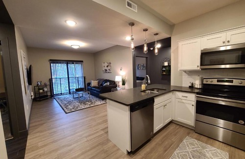 Champaign Appartement | 520 Neil Luxury 2 Bedroom