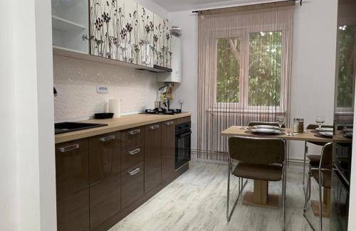 Bacau Appartement | 55 m² Appartement ∙ 1 chambre ∙ 4 personnes