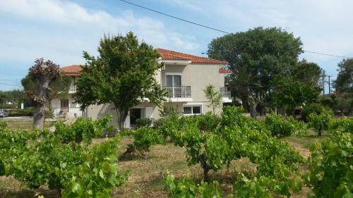 Laganas Appartement | 55 m² Appartement ∙ 2 chambres ∙ 5 personnes