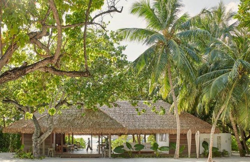 Cocoa Island Station Balnéaire | 590 m² Résidence de vacances ∙ 3 chambres ∙ 127 personnes