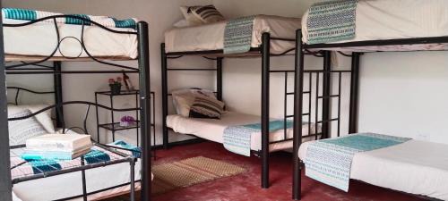 Silvania Maison | 5ta SARoCO Hacienda Biocultural y Agroecoturistica