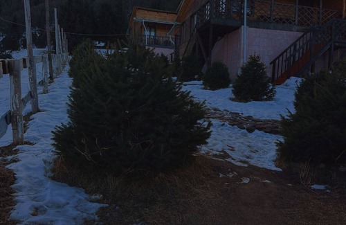 Chunkurchak Maison | 6-bedroom country house in beautiful Bishkek with AC, WiFi