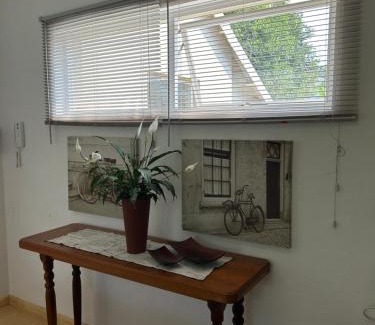 Linden Appartement | 6 Olives on Third