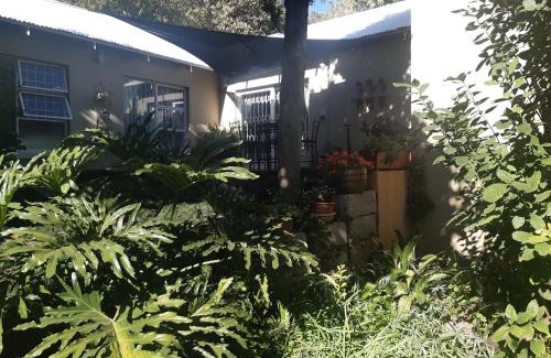 Linden Appartement | 6 Olives on Third