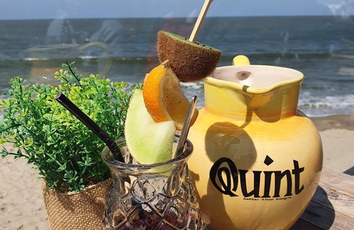 Scharendijke Maison | 6-person feel-good vacation home by the sea