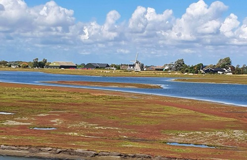 Scharendijke Maison | 6-person feel-good vacation home by the sea