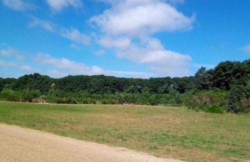 Ansager Maison | 6 person holiday home in Ansager