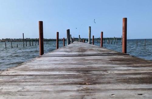 Hejlsminde Strand Maison | 6 person holiday home in Hejls