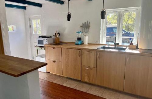 Hulsig Maison | 6 person holiday home in Skagen-By Traum