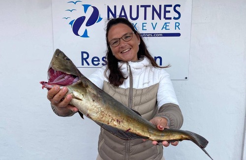 Nautnes Appartement | Maison de vacances pour 6 a tjellstø