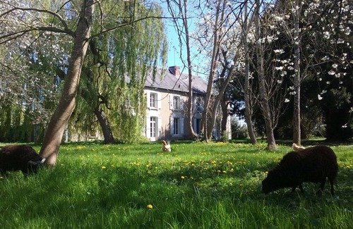 Vouneuil-sur-Vienne Maison | 6 personnes avec jardin privative, piscine chauffée