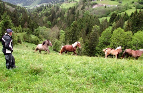 Mitterberg Appartement | 60 m² Appartement ∙ 3 chambres ∙ 6 personnes