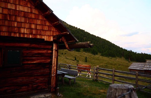 Goeriach Cabine | 60 m² Chalet ∙ 1 chambre ∙ 6 personnes