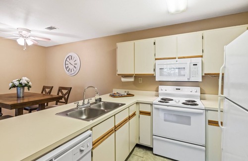 Auburn Appartement | 601 N Gay St - Steps to Downtown