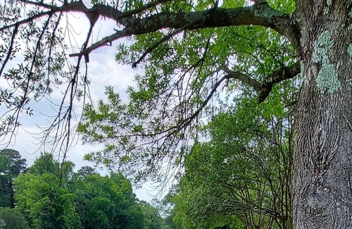 Shreveport Maison | 6011 On The Ponderosa