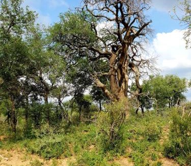 Bela-Bela Appartement | 636 Itaga Safari Lodge, Mabalingwe Nature Reserve