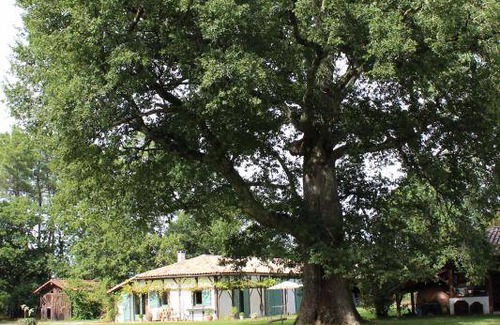 Luglon Maison | 64 m² Gîte ∙ 1 chambre ∙ 2 personnes