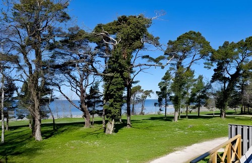 Visby Station Balnéaire | 64 m² Village vacances ∙ 4 chambres ∙ 127 personnes