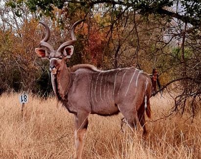 Lydenburg Appartement | 66 Sharalumbi Wildlife Estate