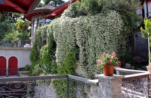 Castagnola Appartement | 67 m² Appartement ∙ 1 chambre ∙ 2 personnes