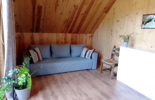 Walne Maison | 7 NIEBO Ewa Olechno