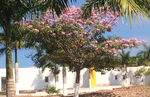 Santa Cruz Maison | #7 Shared Pool, 3 Bedroom/3 Bathroom, Private beach ramada WIFI SKY