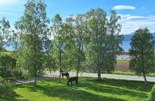 Narvik Appartement | 70 m² Appartement ∙ 1 chambre ∙ 6 personnes