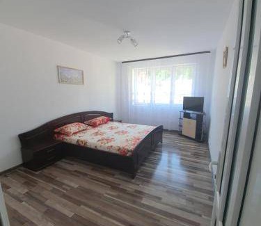Vatra Dornei Appartement | 70 m² Appartement ∙ 2 chambres ∙ 6 personnes