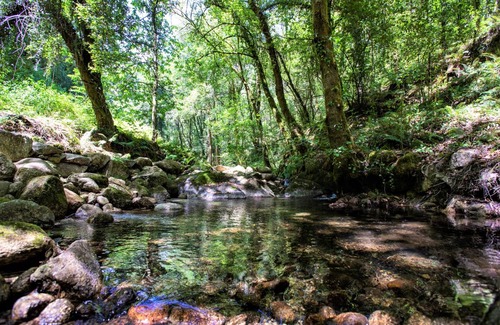 Arcos de Valdevez Cottage | 70 m² Cottage ∙ 1 chambre ∙ 3 personnes