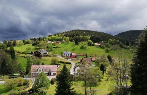 Wangenbourg-Engenthal Appartement | 70 m² Appartement ∙ 2 chambres ∙ 6 personnes