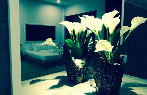 Kudapaduwa Hôtel | 8 Plus Motels