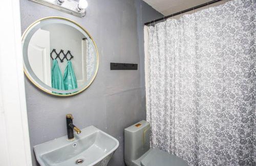 Lubbock Appartement | 806 Oasis at Ave U! 1Bedroom and 1Bath