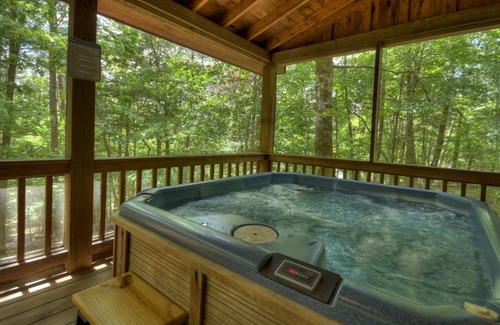 Blue Ridge Cabine | 84 m² Chalet ∙ 2 chambres ∙ 6 personnes