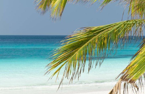 Pongwe Hôtel | 85 m² Hôtel ∙ 10 personnes