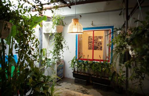 Hai Chau Maison | 88 ngày là tới HOUSE - 88 days to go HOUSE