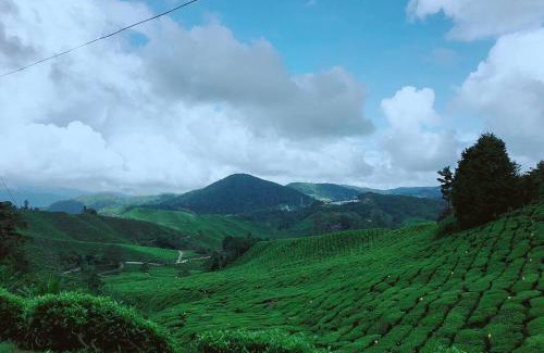 Tanah Rata Maison | 9Pax BintangCottage CameronHighlands *星之高原屋*