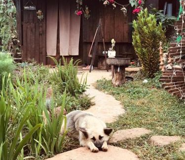 Di Linh Chalet De Ski | A Ơi Di Linh homestay