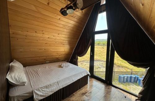 Nucsoara Cabine | A 3 villa
