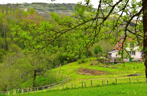 Saint-Projet-de-Salers Cottage | Une retraite calme et rural