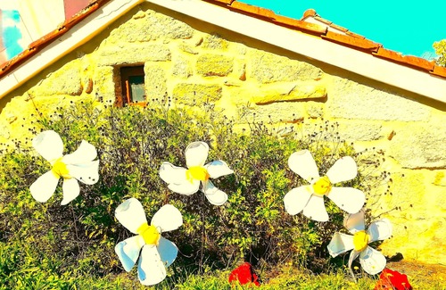 Mondariz Cottage | A CASA DEL BOSQUE DEL AGUA+PASE A SPA PREXIGUEIRO GRATIS A PARTIR DE 01.09.2025