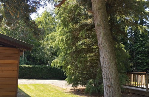 Lofthouse Cabine | A charming & traditional Scandinavian log cabin within a tranquil setting.