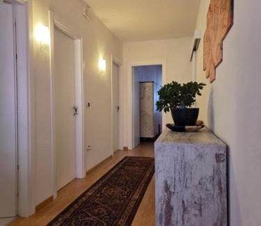 Paluzza Appartement | A cjase di Diego