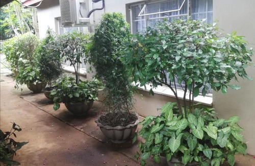 Makhado Maison | A-Cody Place